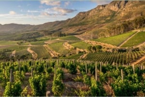 Garden Route e Wine Route 7 giorni da Città del Capo a Durban