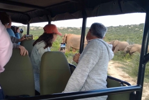 Parc national des éléphants d'Addo et des zèbres de montagne : safaris de 2 jours