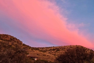 Parc national des éléphants d'Addo et des zèbres de montagne : safaris de 2 jours