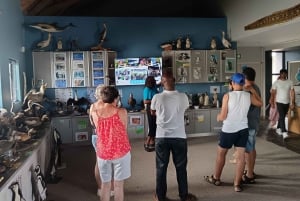 Gqeberha: Addo Elephant National Park und Küsten-Tour-Kombi