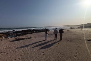 Gqeberha: Addo Elephant National Park und Küsten-Tour-Kombi