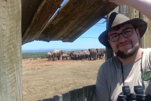 Gqeberha: Addo Elephant National Park und Küsten-Tour-Kombi
