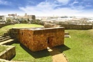 Gqeberha: City Highlights Guided Tour