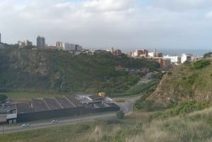 Gqeberha: Gqebera: City Highlights Car and Walking Tour