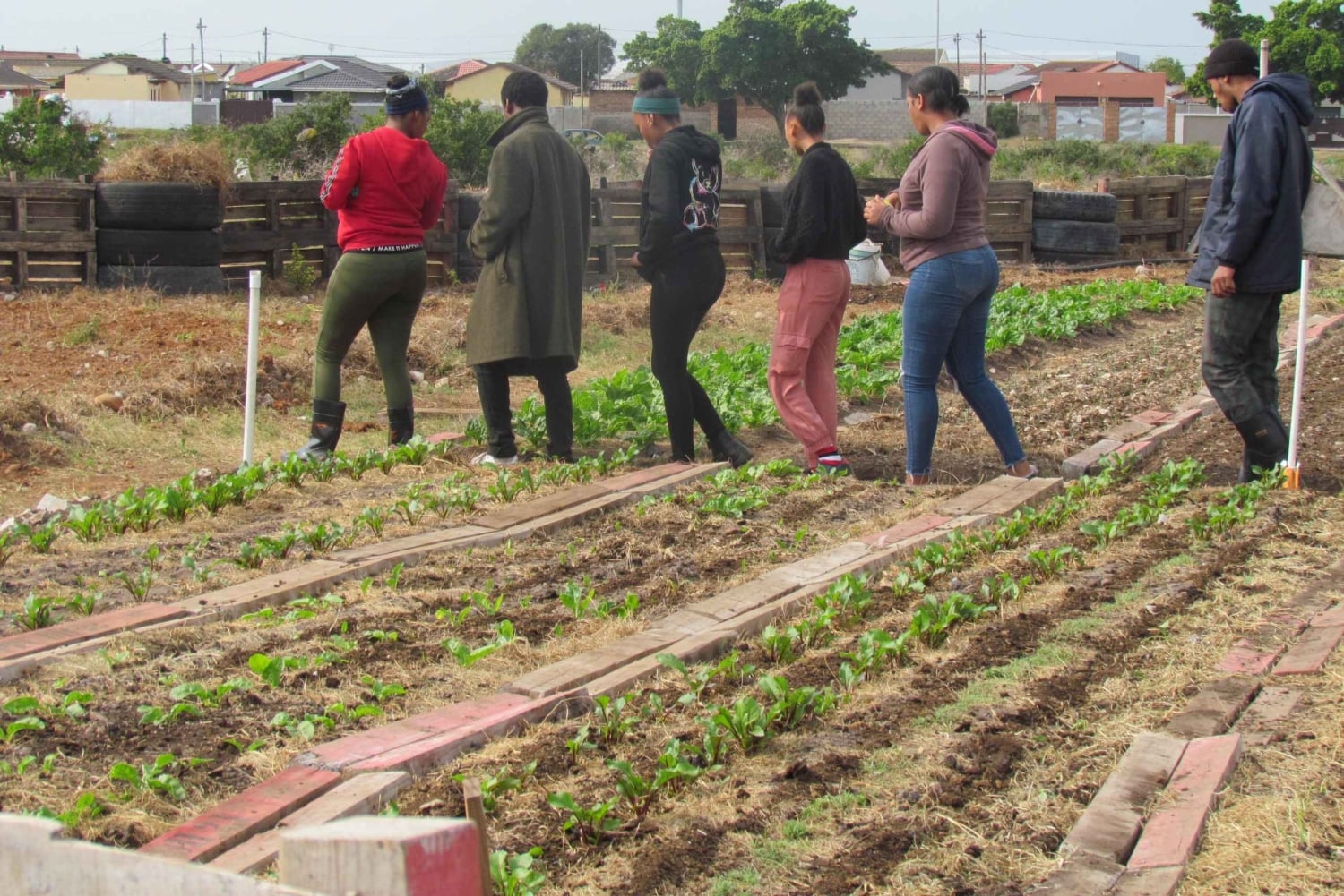 Gqeberha: Guidet tur i Motherwell Township