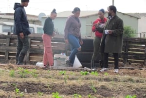 Gqeberha: Guidet tur i Motherwell Township