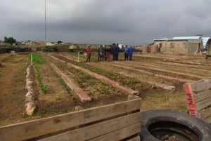 Gqeberha: Guidet tur i Motherwell Township