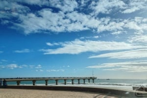 Gqeberha/Port Elizabeth : Visite guidée de la ville