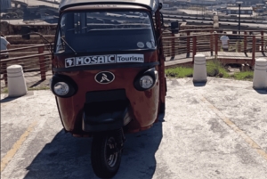 Gqeberha: St Peters Precint and SANCCOB by Tuk Tuk