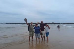 Visita guiada a la costa de Puerto Elizabeth