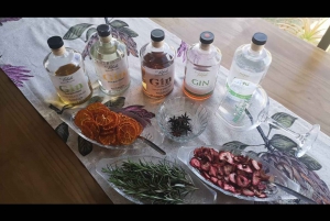 Hankey: Craft Gin, Vodka, and Spiced Rum Tasting Tour