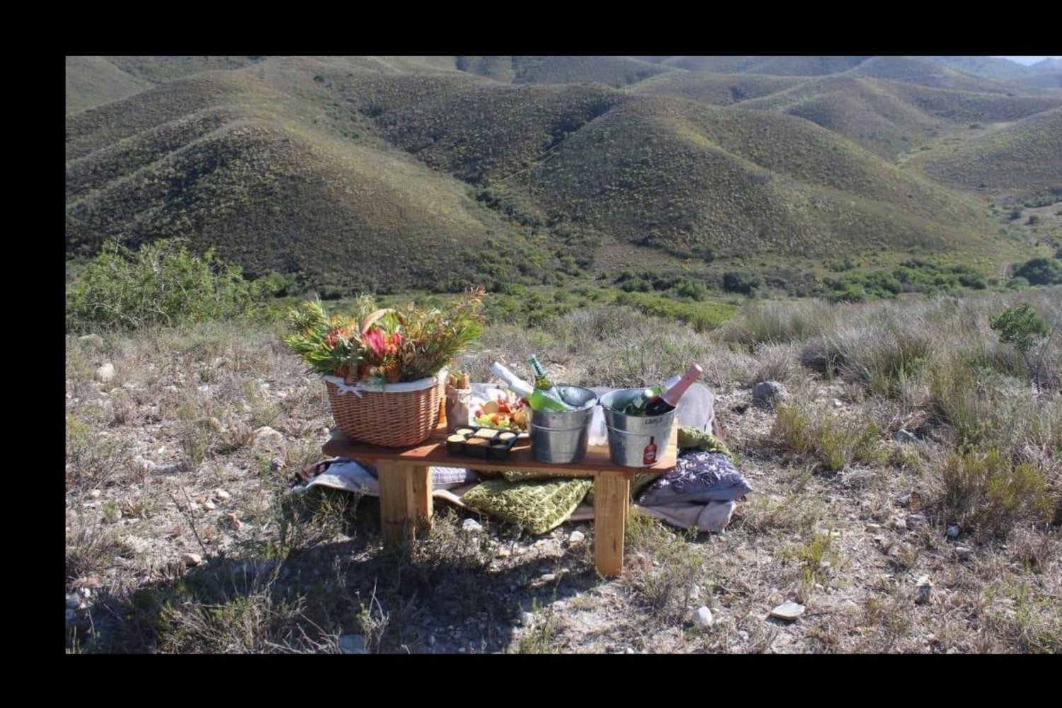 Hankey: Pabala Nature Reserve Game Drive i piknik z winem