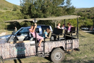Hankey: Pabala Private Nature Reserve Game Drive with Snacks