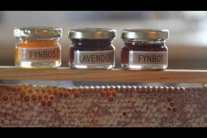 Hankey: Pabala Private Nature Reserve Honey Tasting & Lunch