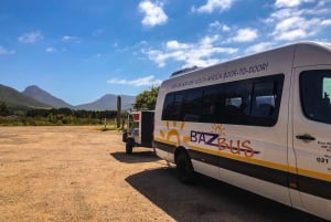 Autobus Hop-on Hop-off tra Città del Capo e Port Elizabeth