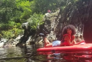 Autobus hop-on hop-off między Kapsztadem a Port Elizabeth