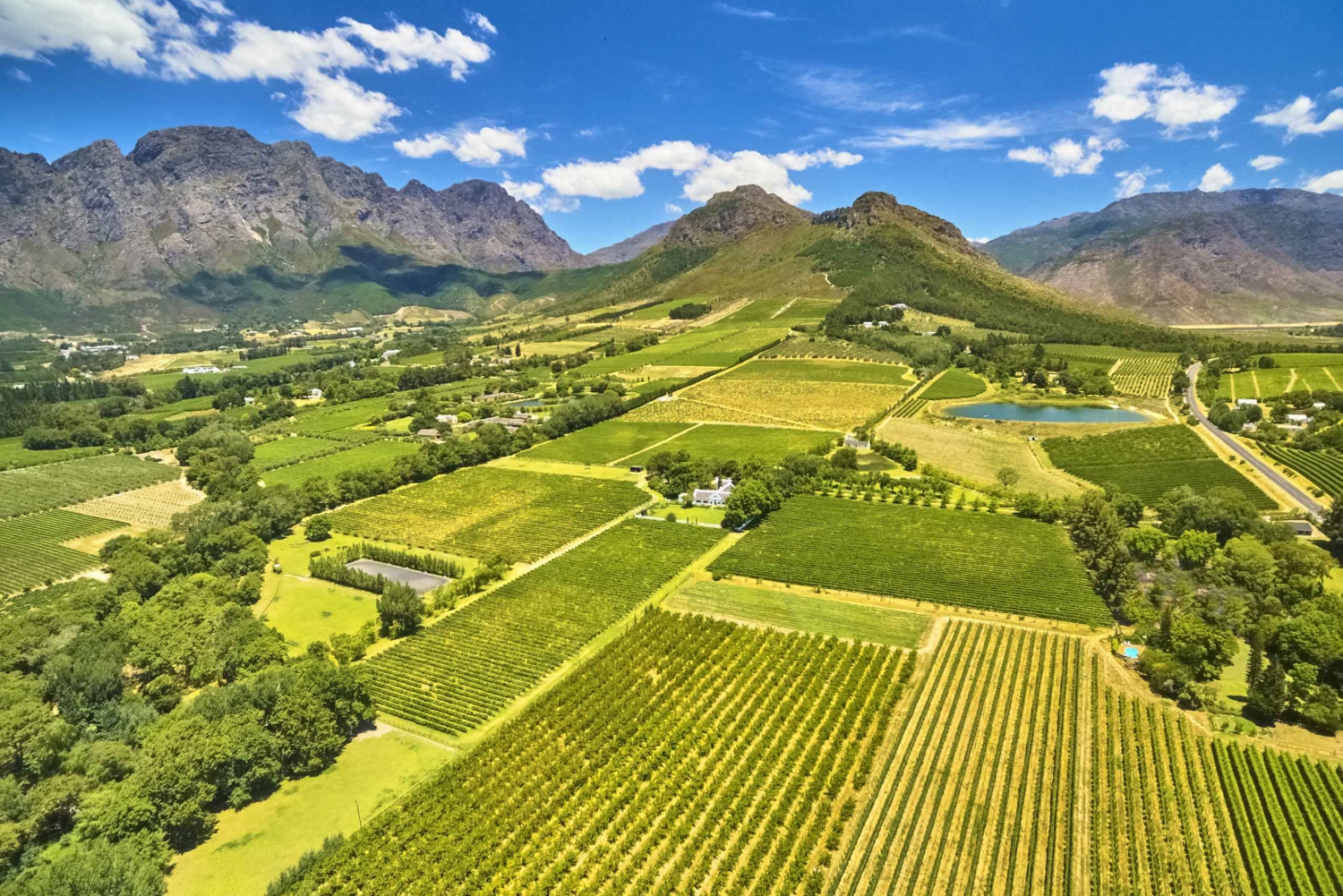 Hot air Ballon and Cape Wine lands Private guided tour