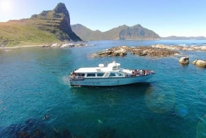 Hout Bay: Duiker Island Seal Colony Cruise