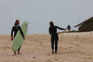 Залив Джеффрис: частный серфинг-тур с местным экскурсоводом и обедом