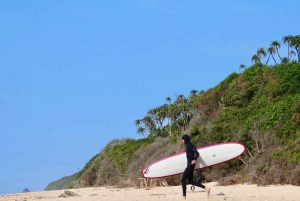 Залив Джеффрис: частный серфинг-тур с местным экскурсоводом и обедом