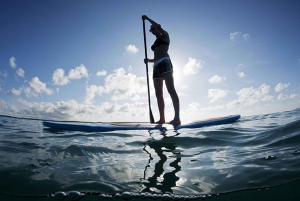 Jeffreys Bay: stand-up paddlesurfen