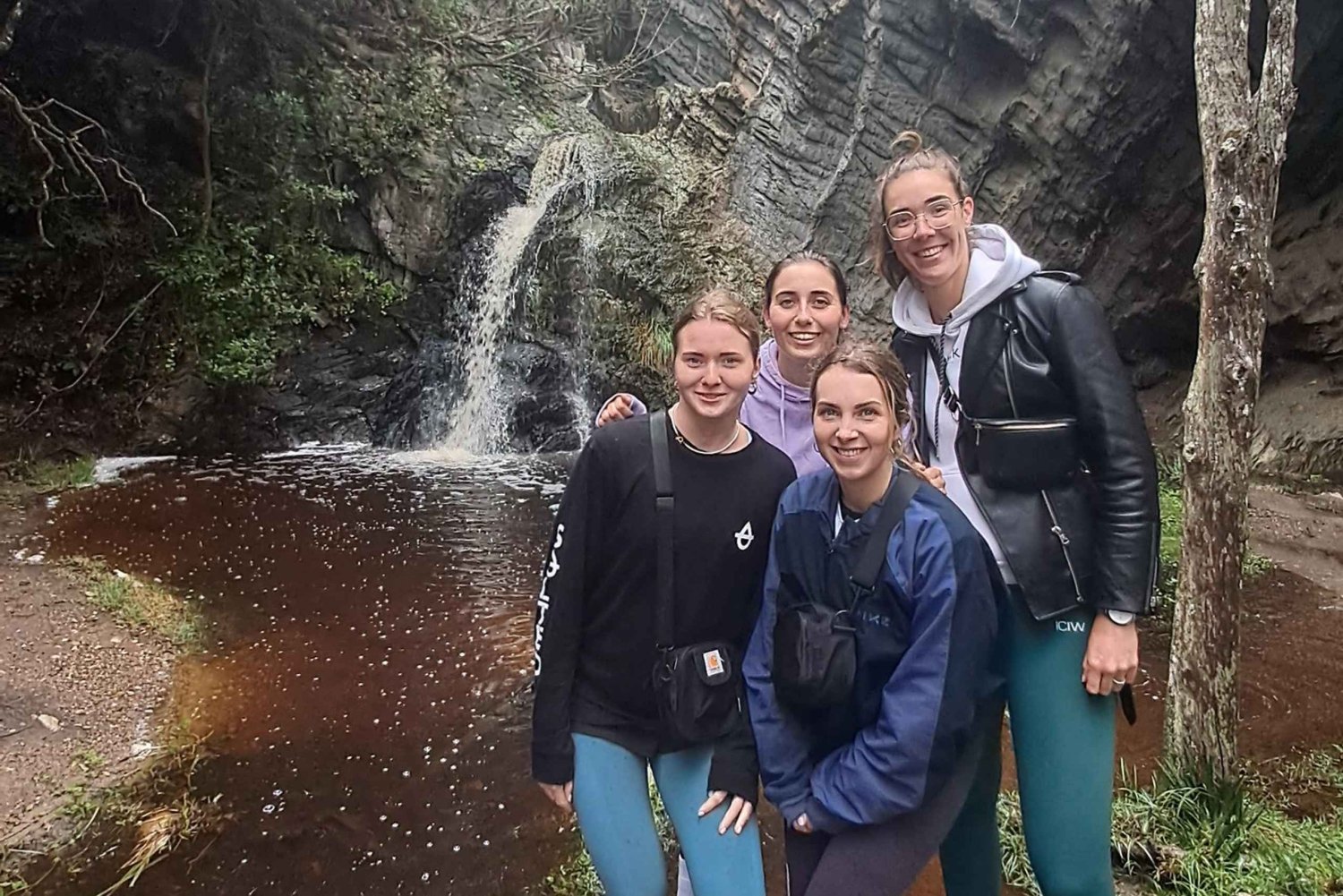 Jeffreys Bay: Storms River naturreservat – guidet dagstur