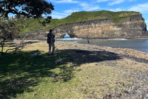 Залив Джеффрис: 6-дневный тур по Дикому побережью с питанием и мероприятиями