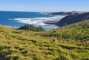 Залив Джеффрис: 6-дневный тур по Дикому побережью с питанием и мероприятиями