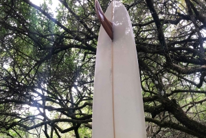 Залив Джеффрис: 6-дневный тур по Дикому побережью с питанием и мероприятиями