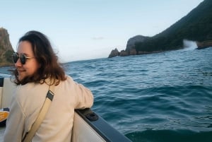 ヨハネスブルグ発：ヴィクトリアの滝とガーデンルートを巡る10日間ツアー