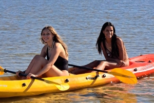 Kayaking Jeffreys Bay