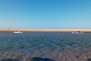 Kayaking Jeffreys Bay