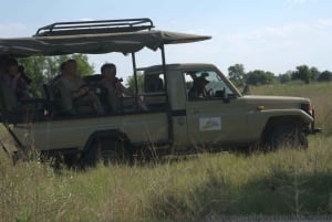 Excursion de 3 jours dans le Klein Karoo, la Garden Route et la côte d'Addo