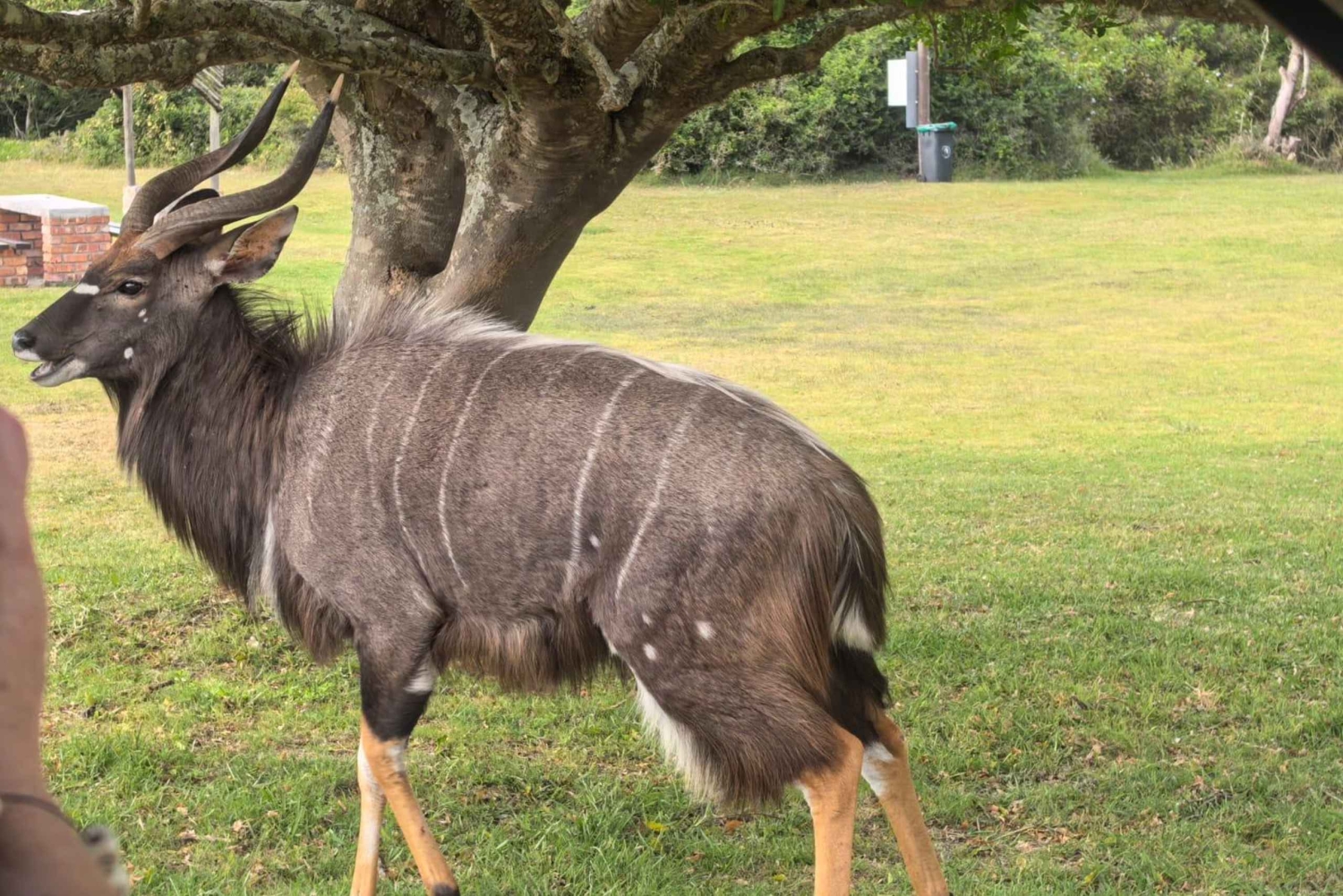 Park Kragga Kamma: przejażdżka 4x4 i lunch z grilla