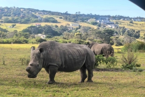 Park Kragga Kamma: przejażdżka 4x4 i lunch z grilla