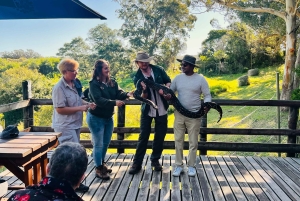 Park Kragga Kamma: przejażdżka 4x4 i lunch z grilla