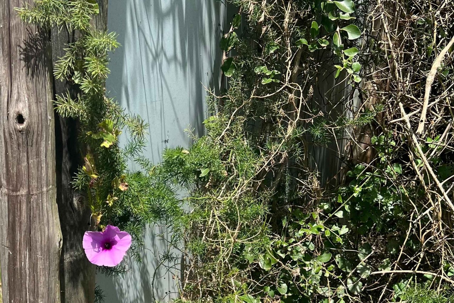 Kragga Kamma Game Park 4x4