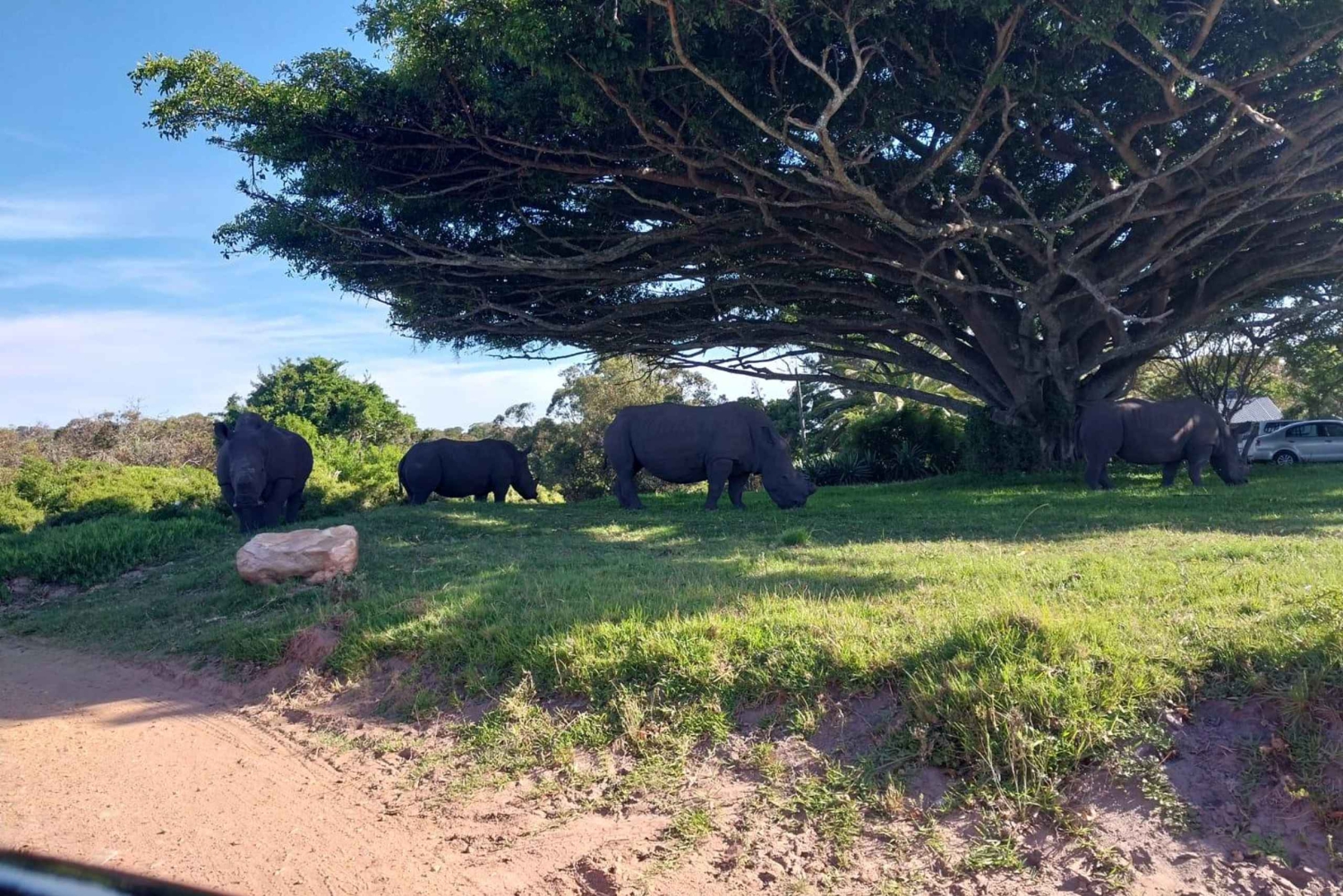 Kragga Kamma Game Park 4x4