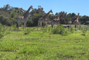Kragga Kamma Game Park 4x4