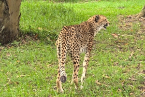 Kragga Kamma Game Park 4x4