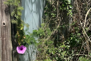 Kragga Kamma Game Park 4x4