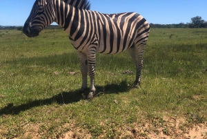 Kragga Kamma Game Park 4x4