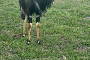 Kragga Kamma Game Park 4x4