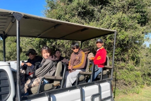 Kragga Kamma Game Park 4x4