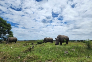 Kragga Kamma wildpark hele dag safari