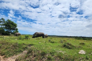 Safari di un'intera giornata nel Parco Giochi Kragga Kamma