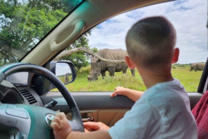 Safari di mezza giornata nel parco di caccia Kragga Kamma