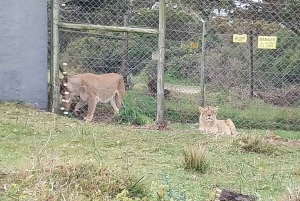 KRAGGA KAMMA GAME PARK