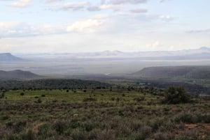 4-dages safari fra Addo til Karoo