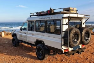 Safari de 4 días de Addo a Karoo